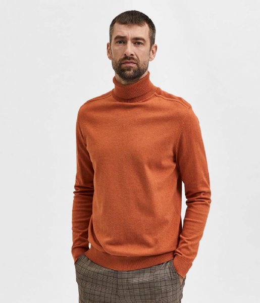 Selected Homme  Berg Roll Neck B Bombay Brown